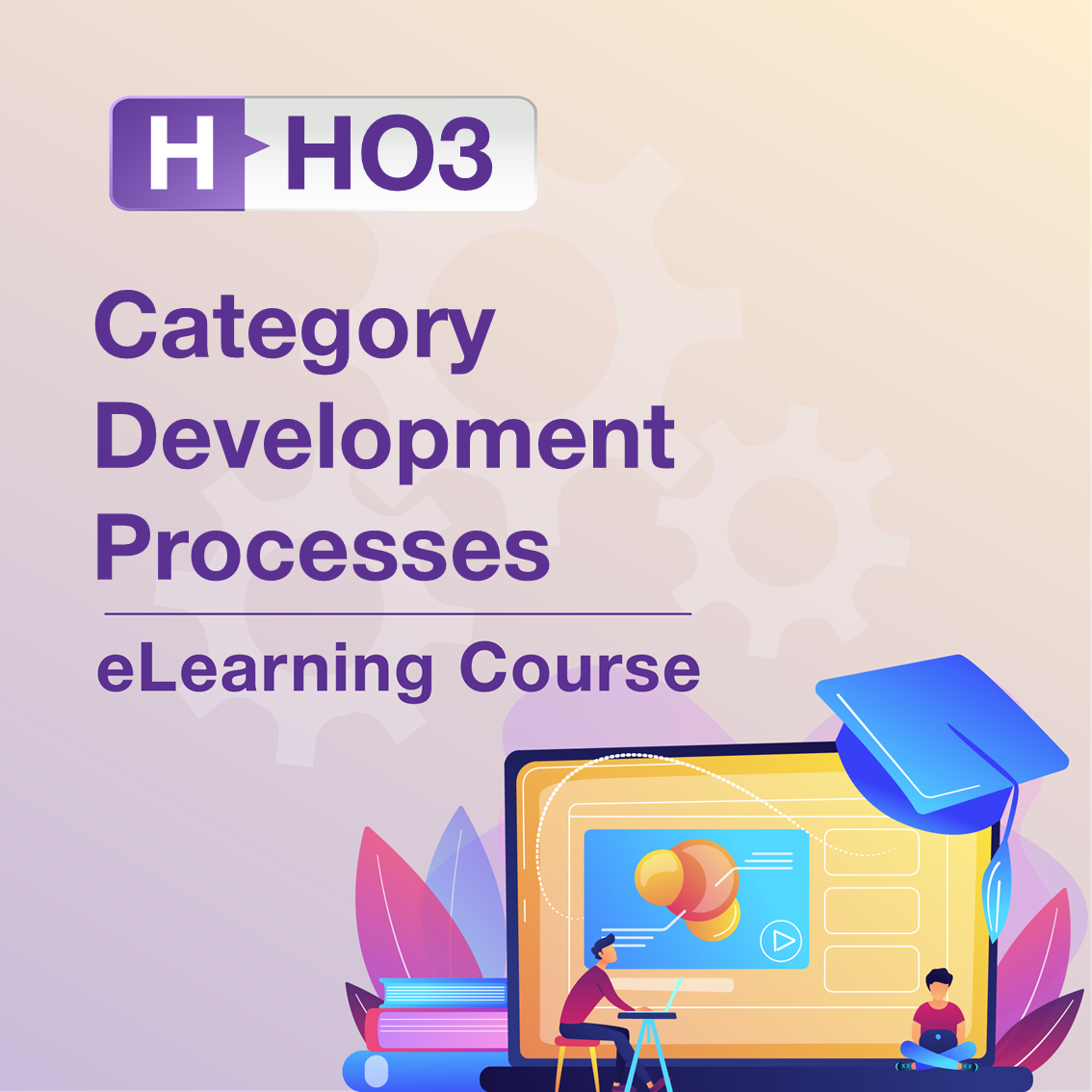 H-HO3: Category Development Processes