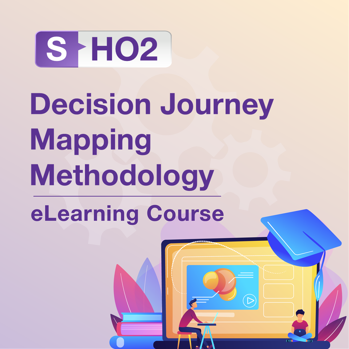 S-HO2: Decision Journey Mapping