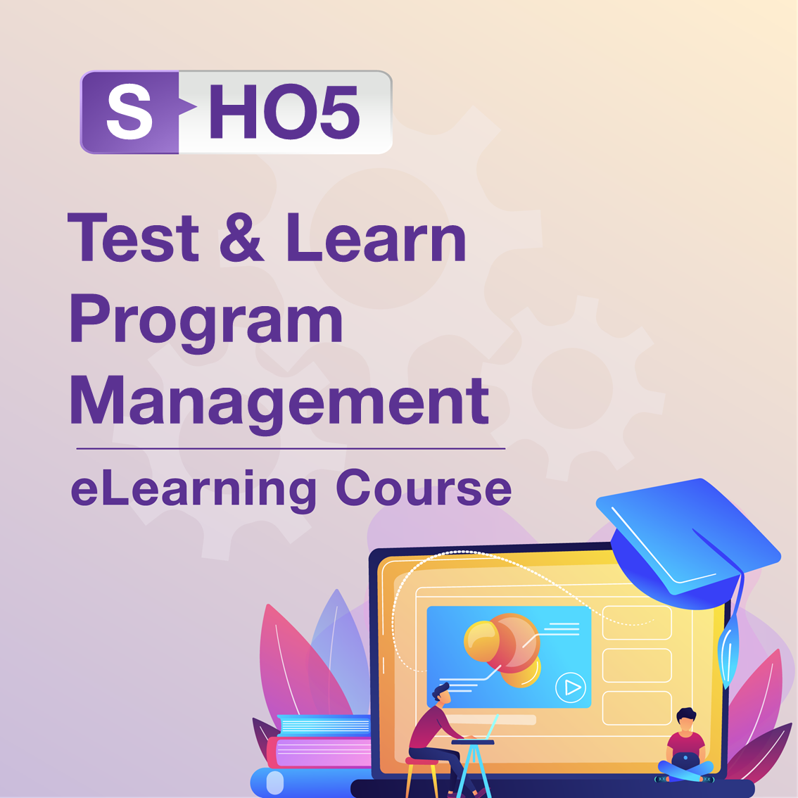 S-HO5: Test & Learn Program Management